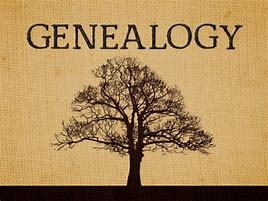 Image result for genealogy